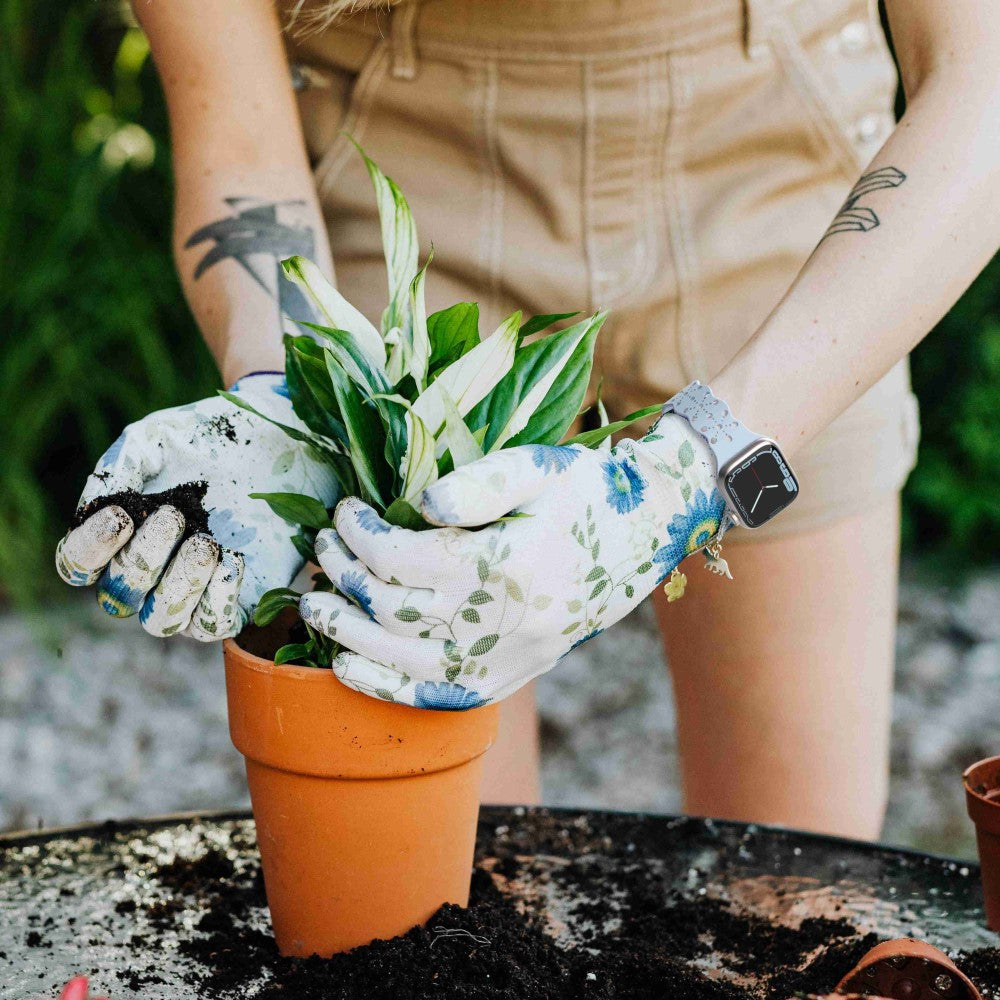 #serie_11