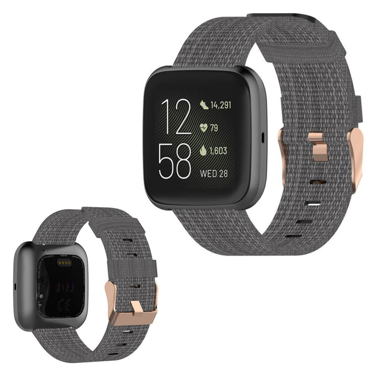 Helt vildt rart Fitbit Versa 2 / Fitbit Blaze Nylon Rem - Sølv#serie_10